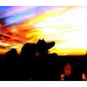 Ronald Norton's photo