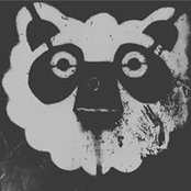 Foto von Hamés Duffy