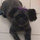 jennifer_bloomhines