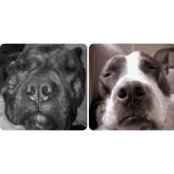 Jonathan Ford's photo