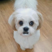 Cheryl Cudworth's photo