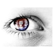 Karin Krolop's photo