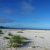 Foto von Cindy Anderson