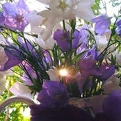 Asmaa Fayek's photo
