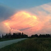 Foto von Renee Dralle