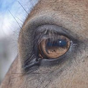 Laura Baker's photo