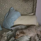 Carrin Simmons's photo