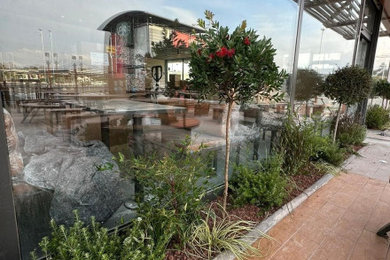McDonald's San Juan. Alicante