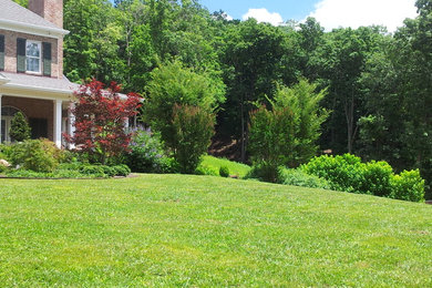 Photo of a contemporary landscaping in Other.