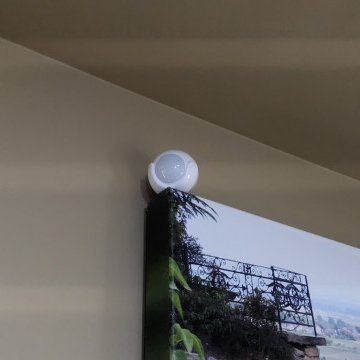 Custom security system and home automation
