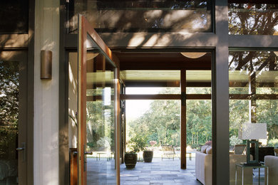 This is an example of a modern front door in San Francisco with a pivot front door and a glass front door.