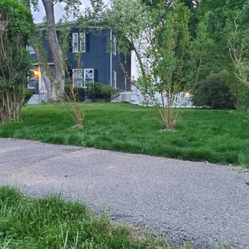 Growing the Greenest Grass