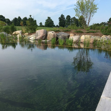 Pond in the Fields