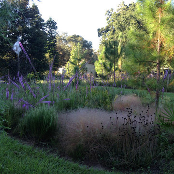 Native Florida Meadow