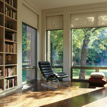 Window Coverings