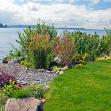 Lakeshore
