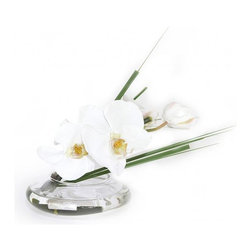 White Phalaenopsis and Grass Disk Vase - Products