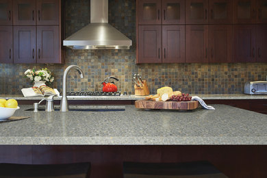 Kitchen - traditional kitchen idea in Chicago