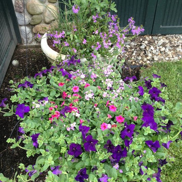 Seasonal Container Plantings & Changeovers