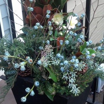 Christmas window boxes in Brooklyn