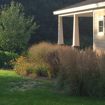 Side yard planting view