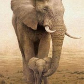 Tracy Seaman's photo