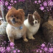 Janet Cadin's photo