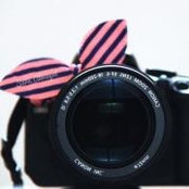 Soolo Al-wayel's photo