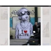 Photo de Tara Higgins-Pascucci