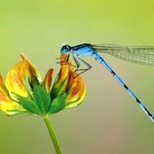 Robin Brown's photo
