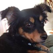 Jackie Jones's photo