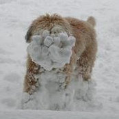 Mike Gerstさんの写真