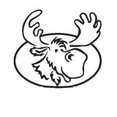 Moose Metal's profile photo