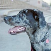 Ben Abel's photo