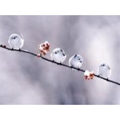 Melanie Stewart's photo