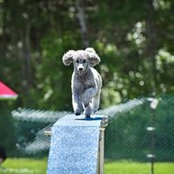 Barbara Bell's photo