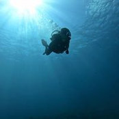 John Nguyen's photo