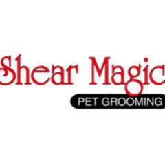 Shear Magic Dog Grooming