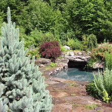 Pond