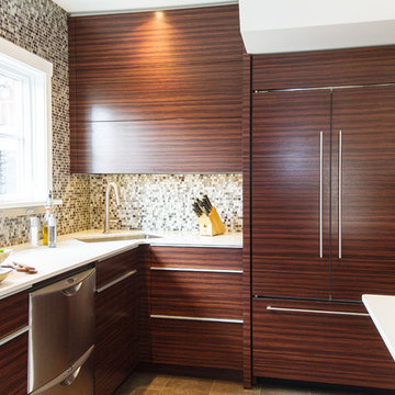 Contemporary Kitchen Renovation
