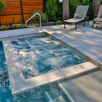 Lemont, IL Rectilinear Pool with Interior Hot Tub