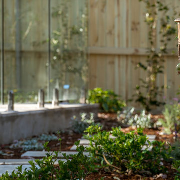 Residential Garden Revamp