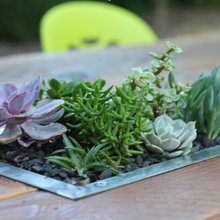 Patio Ideas