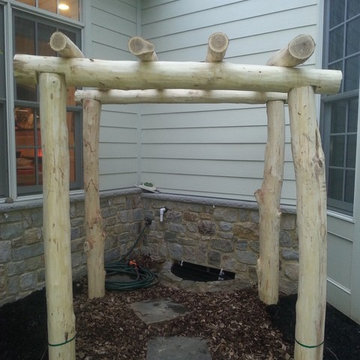 Backyard Edible Garden