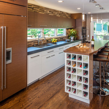 Minneapolis Contemporary Home Remodel
