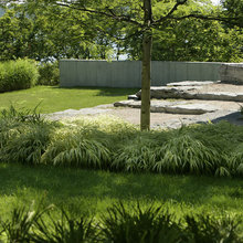 garden - grass