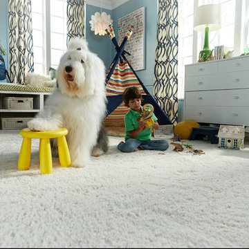 STAINMASTER® PetProtect™ carpet