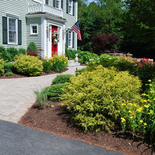 front yard plants