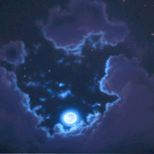 The Vortex