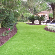 backyard landscaping